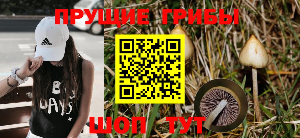 Удомля  Галлюциногенные грибы ЛСД  как найти   Вход с VPN 
