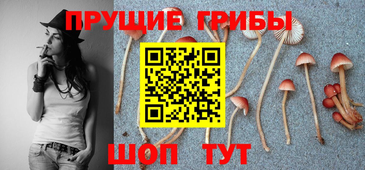 Псилоцибиновые грибы MAGIC MUSHROOMS Удомля